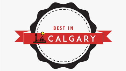 Best in Calgary Fireplace Cleaning